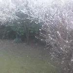 Appartamento Giardino Verde