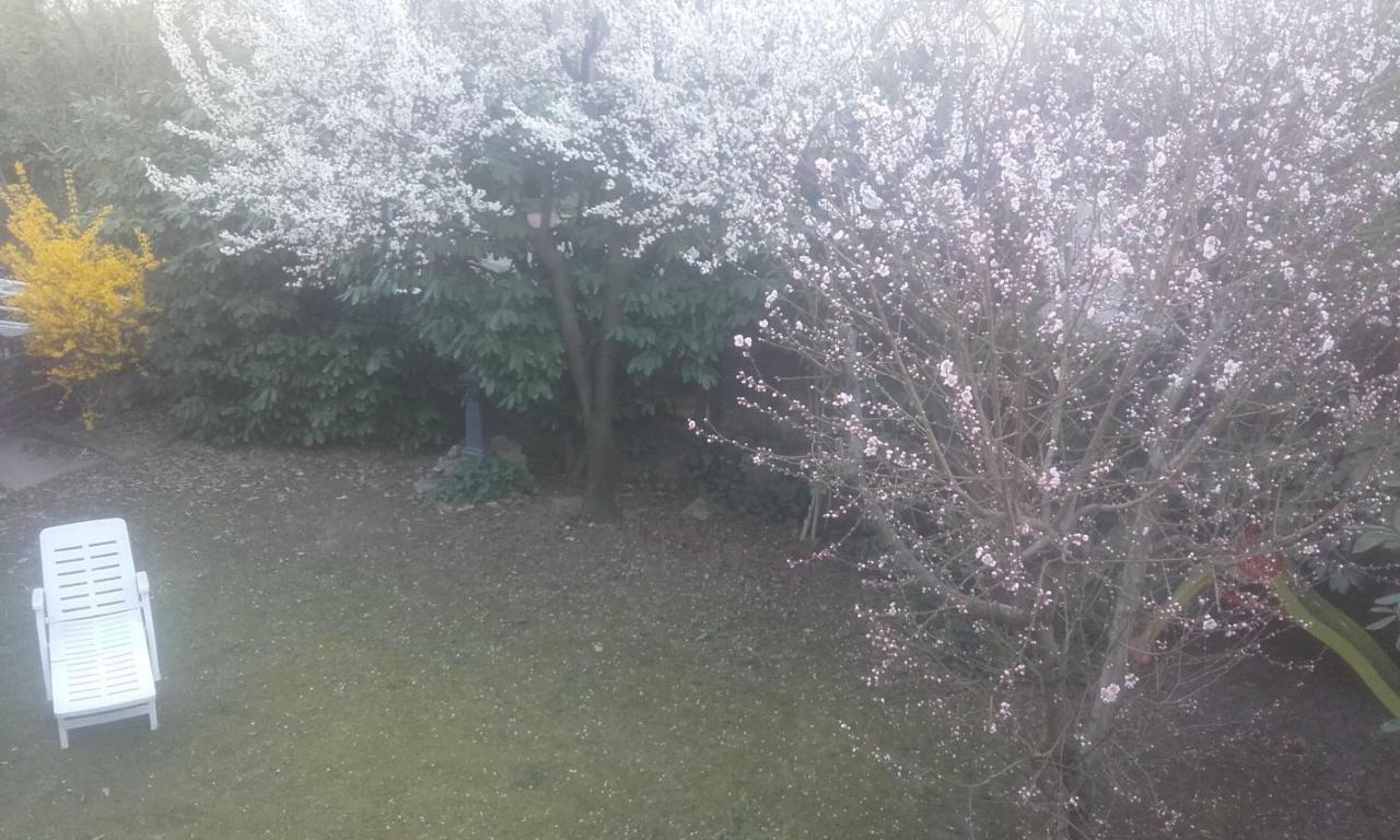 Giardino *
